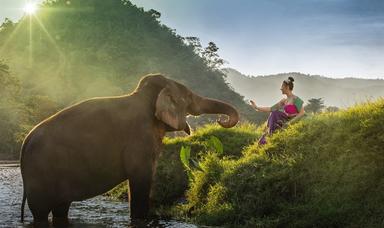 Wildlife travel experiences