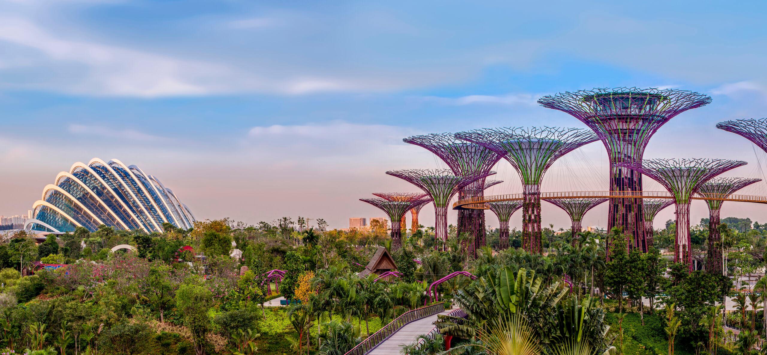 City Sightseeing Tour with Marina Bay Sands SkyPark & Gardens by the Bay