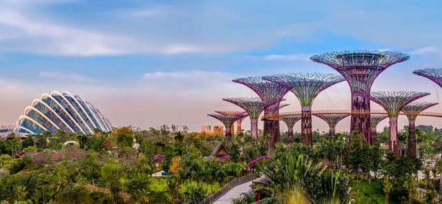 Marina Bay Sands and Gardens by the Bay