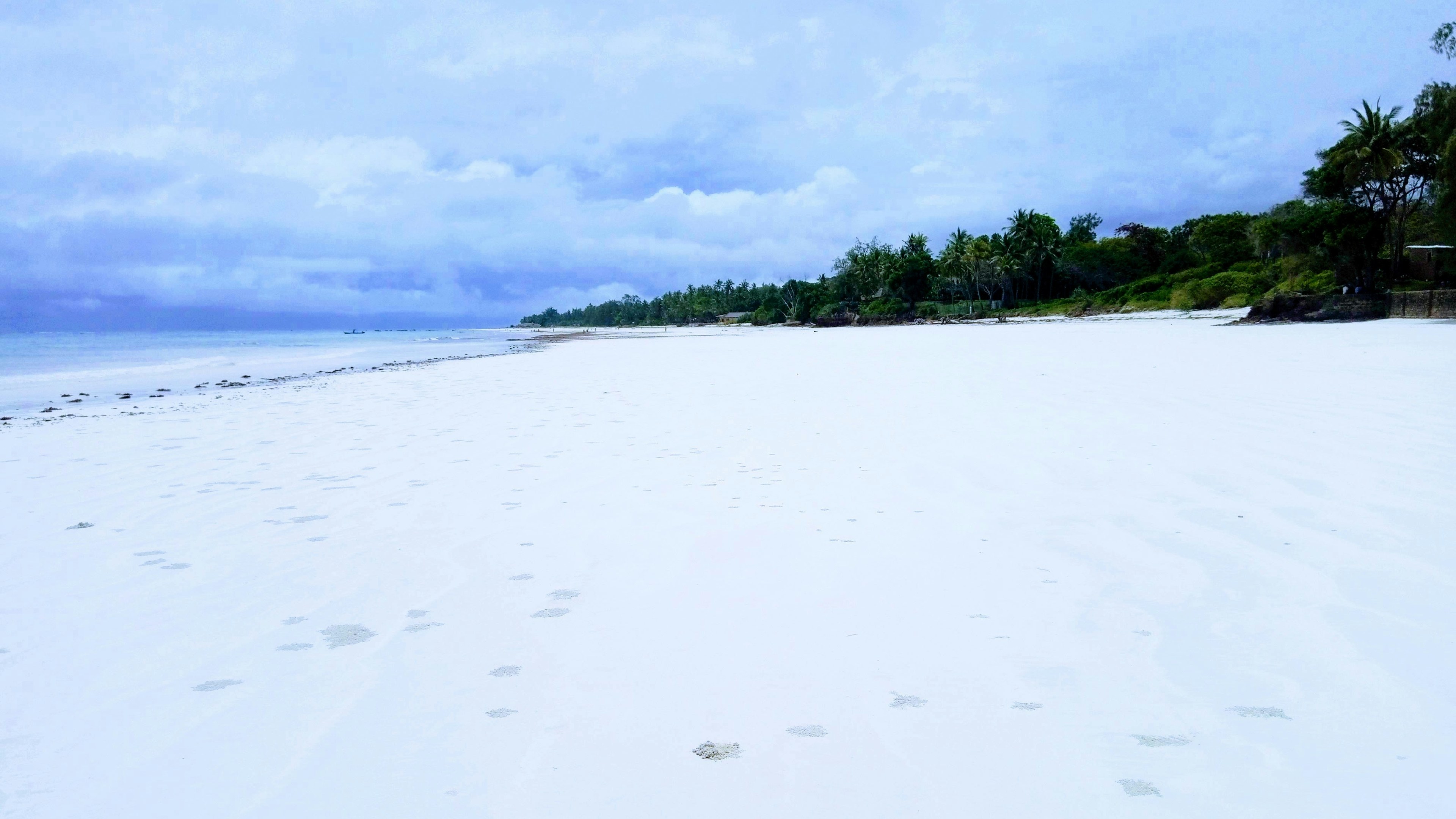 Kenya Wildlife & Diani Beach Bliss | 8 Nights / 9 Days